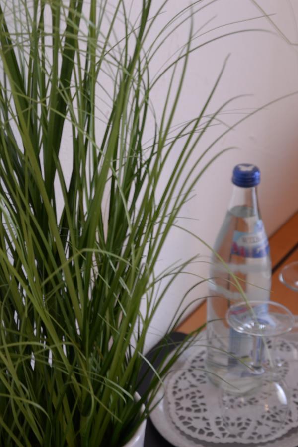 罗浮鲁腾兰德酒店 普夫龙滕 外观 照片